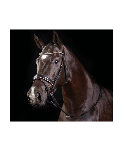 Collegiate Rode Gold Crystal Flash Bridle