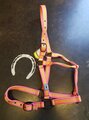 Roma Stripe Headcollar