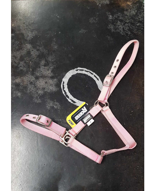 Roma Nickle Plated Buckle Halter Small Pony