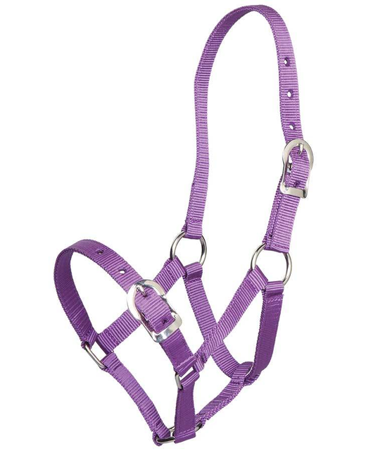 Halter-3/4"  Small Pony