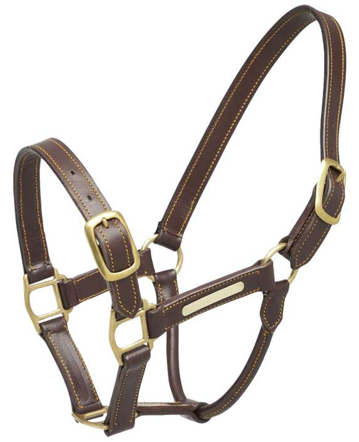 Aintree Leather Halter With Brass Name Plate 