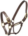 Aintree Leather Halter With Brass Name Plate 