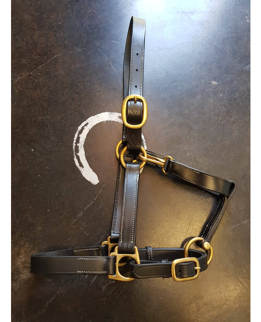 Eventor Ana Leather Halter 