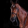 Collegiate Multi Crystal Crank Flash Bridle