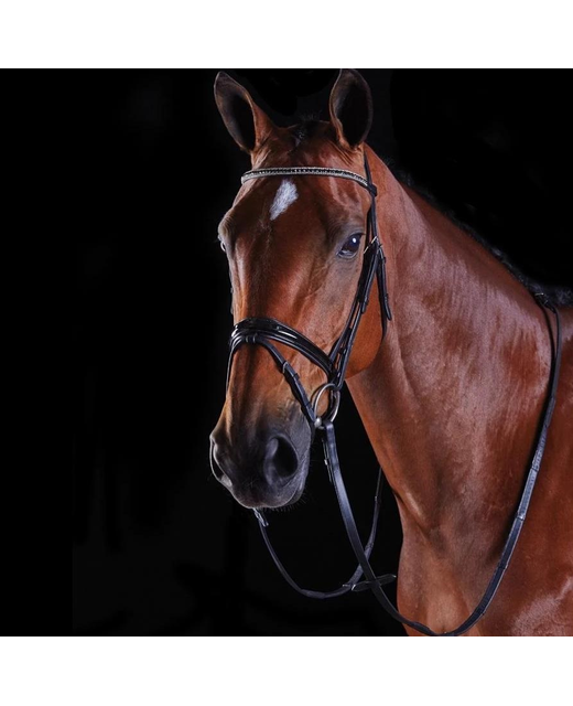 Collegiate Multi Crystal Crank Flash Bridle