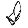 Platinum Raised Padded Leather Halter With Name Plates