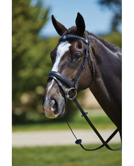 Kincade Chain Flash Bridle