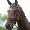 Kincade Hanoverian Flash Bridle II