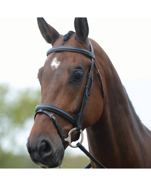 Kincade Hanoverian Flash Bridle II