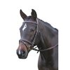 Kincade Hanoverian Flash Bridle II