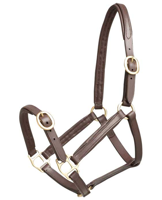 Halter Leather Foal Aintree Brown