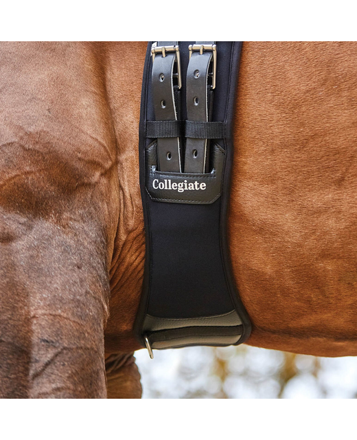 Collegiate Memory Foam Girth Dressage