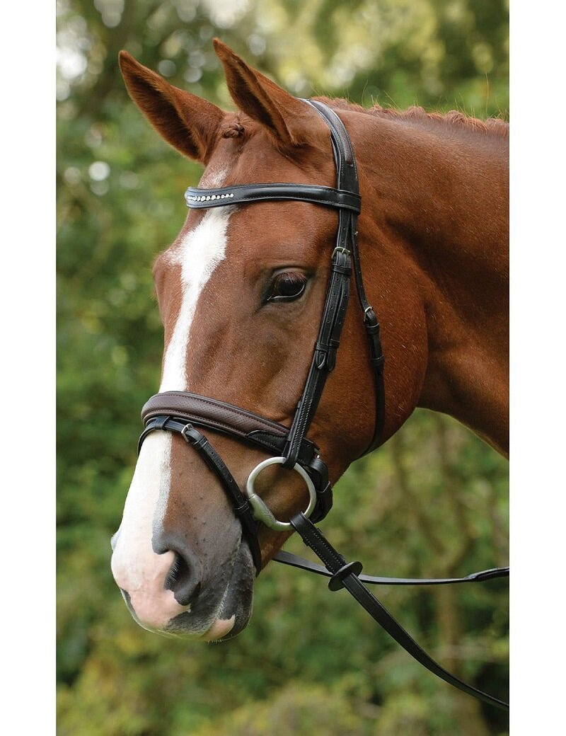 Kincade Comfort Crystal Crank Bridle - Horse-Bridles : Richmond ...