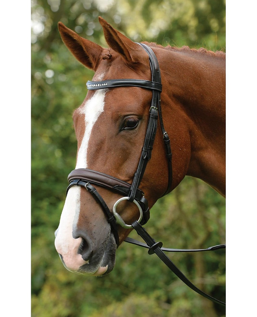 Kincade Comfort Crystal Crank Bridle - Horse-Bridles : Richmond ...