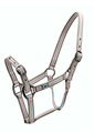 Roma Stripe Headcollar