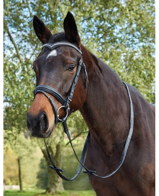 Kincade Deep V Crystal Hanoverian Bridle