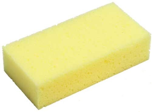 Horse Care Sponge