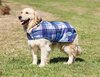 Weatherbeeta Comfitec Premier Free Parka Dog Rug