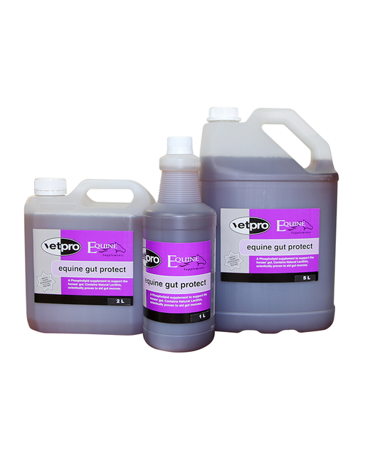 Equine Gut Protect 1 Litre