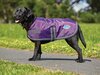 Weatherbeeta Comfitec Windbreaker 420D Dog Rug