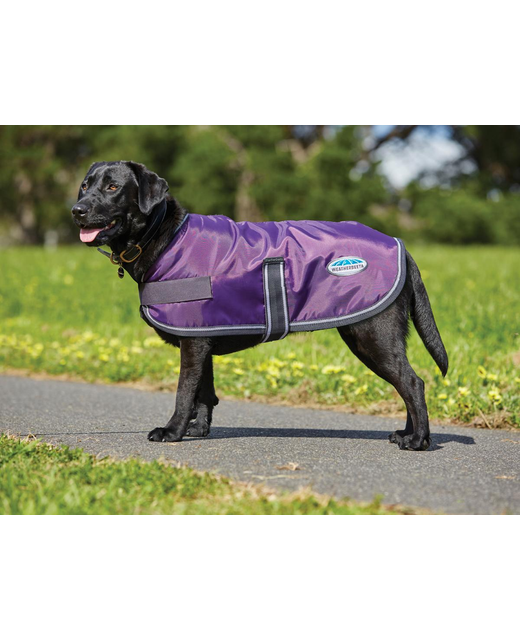 Weatherbeeta Comfitec Windbreaker 420D Dog Rug