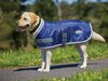 Weatherbeeta Comfitec Windbreaker 420D Dog Rug