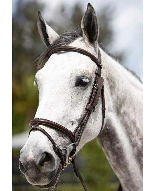 Platinum Leather Focus Blinkers