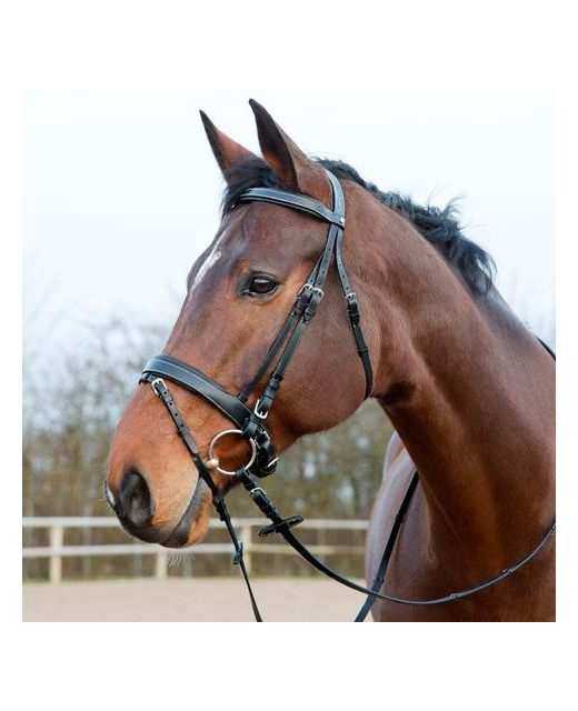 Horze Snaffle Bridle Venice