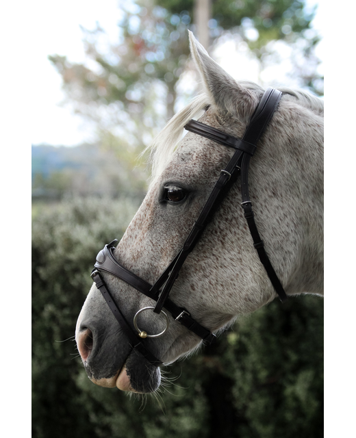 Eventor Crown Snaffle Bridle