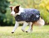 Weatherbeeta Comfitec Premier Free Parka Dog Coat