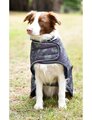 Weatherbeeta Comfitec Premier Free Parka Dog Coat