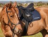 Collegiate Syntovia+ Osberton All Purpose Saddle