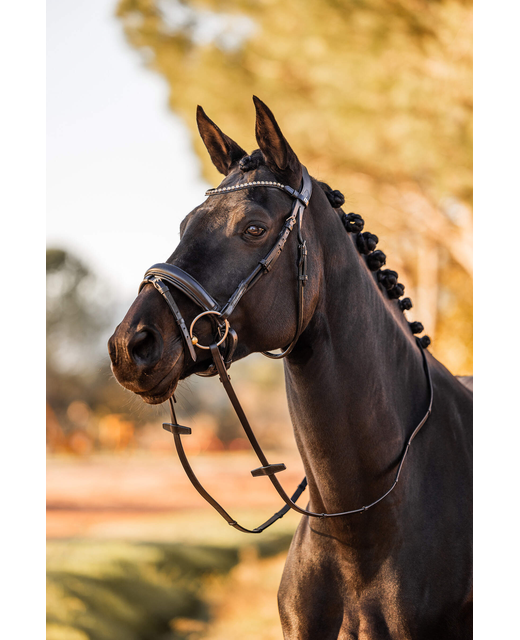 HZ Lockhart Bridle