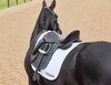 Collegiate Resolute Dressage Saddle 