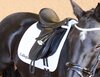 Collegiate Acclaim Dressage Saddle