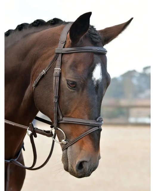 Collegiate Comfitec Opulux Fancy Stitch Padded Hanoverian Bridle