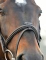 Collegiate Comfitec Opulux Fancy Stitch Padded Hanoverian Bridle