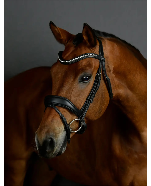 Collegiate Comfitec Opulux Padded Dressage Bridle