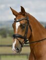 Collegiate Comfitec Opulux Padded Dressage Bridle