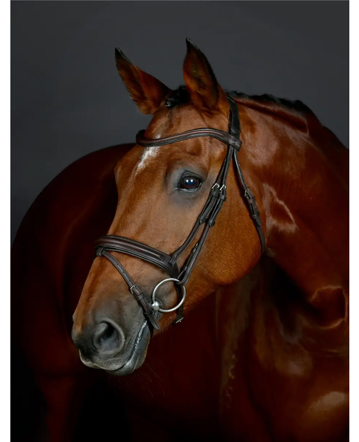 Collegiate Comfitech Opulux Plain Padded Hanoverian Flash Bridle