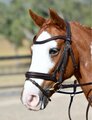 Collegiate Comfitech Opulux Plain Padded Hanoverian Flash Bridle