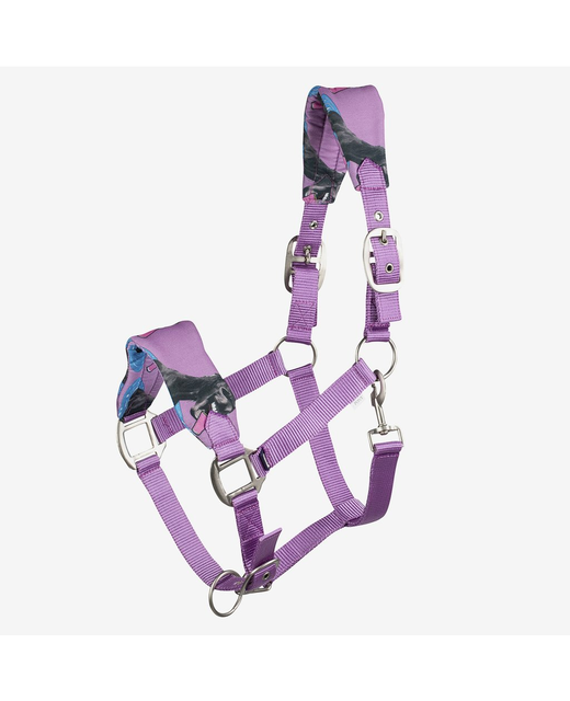 HZ Bree Pony Halter