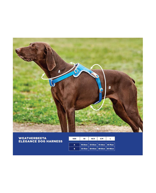 Weatherbeeta Elegance Dog Harness