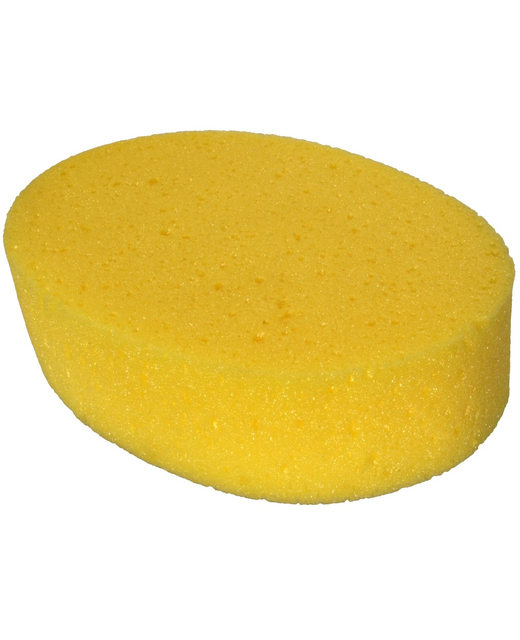 Sponge Oval Large