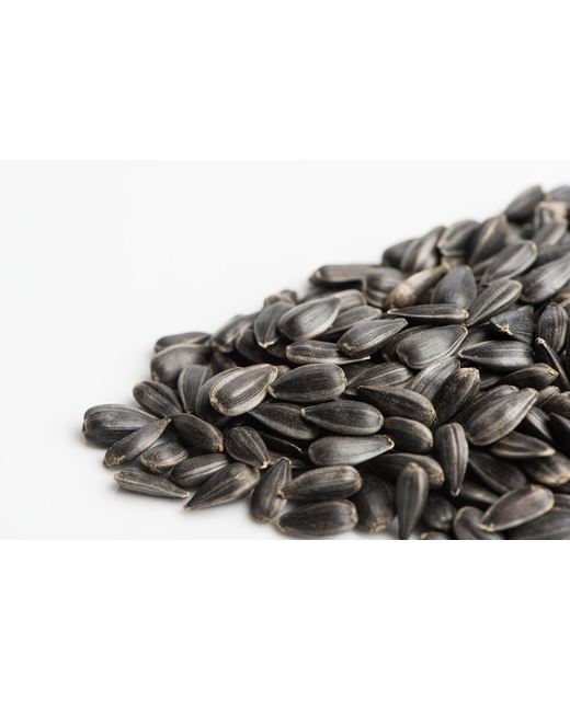 Sunflower Seeds Blk 4 Kg