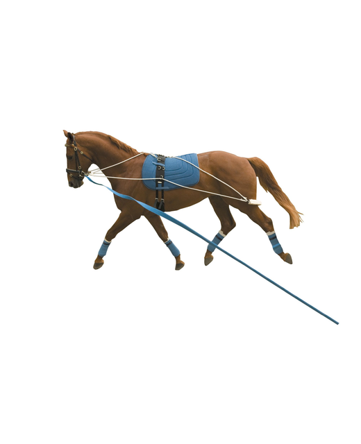 Kincade Lunging System