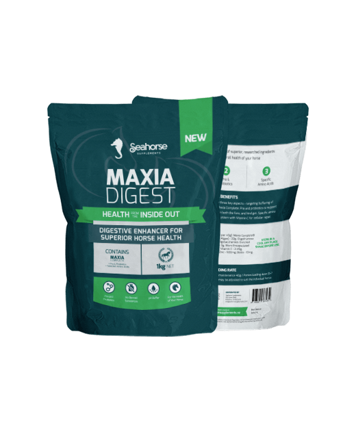 Maxia Digest  Seahorse Minerals 