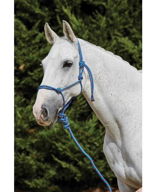 Saxon Two Tone Rope Halter And Lead Set