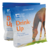 Drink Up Per Sachet 80gm